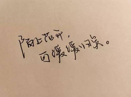 花开在清真寺上，并可以缓慢地返回