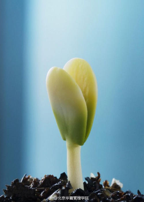 草给我力量