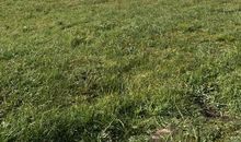 来世，我愿做飞鸟