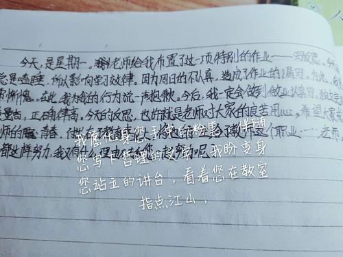 滋养我心灵的话