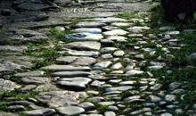 一路成长一路笑