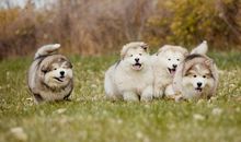 快乐，来自于生活