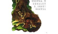 丛林故事读后感