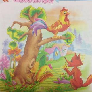我和公鸡的故事