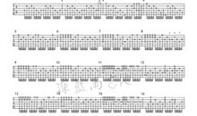 与它一起走过的日子