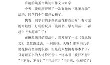 跳蚤市场场面描写的作文