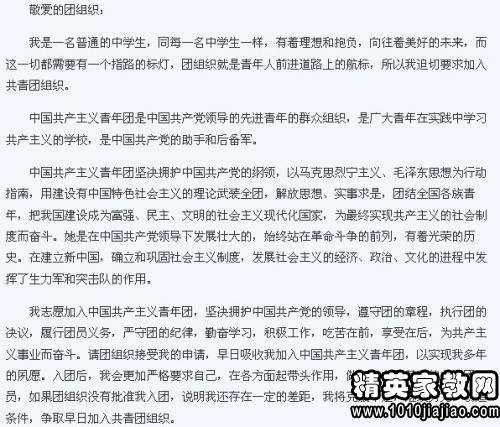 青年申请表示例