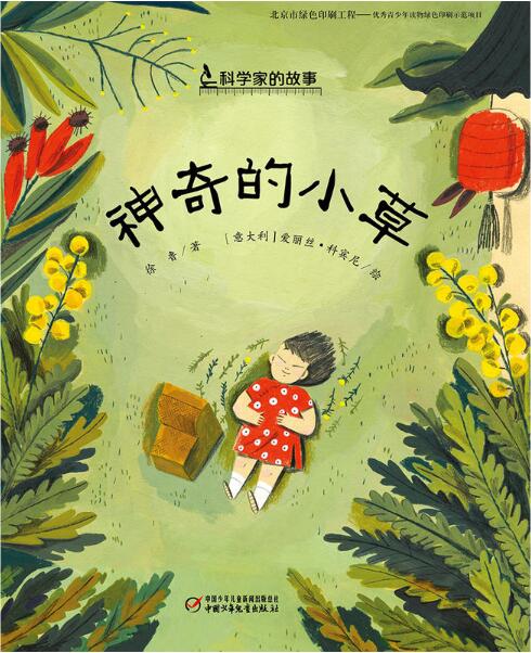 在草地上的一天