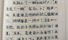 那次玩的真高兴作文三年级