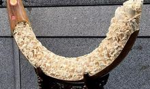 我最喜欢的工艺品