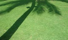 大自然让我着迷