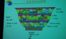 我与“宸宝”的故事