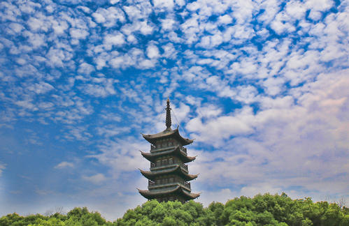 不经意间美丽