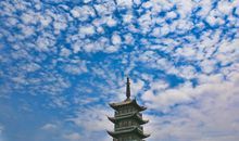 不经意间的美丽