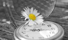 从指缝里溜走的时光