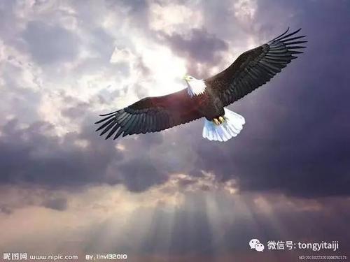 坚持不懈或退缩