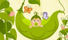 豌豆的故事续写