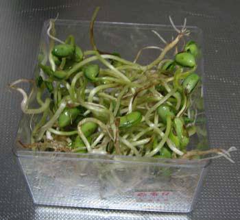 赞美我们的女性文人