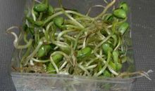 夸夸我们的女文人