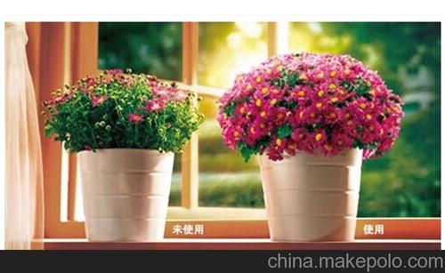 花的绿叶