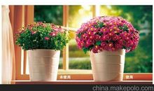 绿叶对鲜花的付出