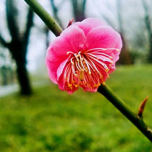 赞美你，春天