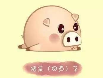 听起来很有趣