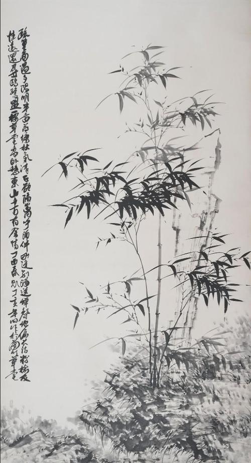 赞竹