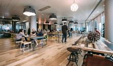 “共享”只是共享？