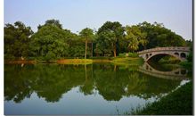 广州华南植物园一日游