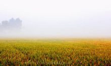 路边的风景其实很美