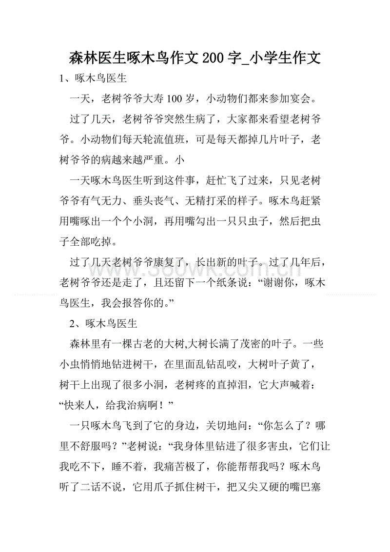国王啄木鸟玫瑰花