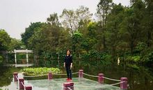 春游海珠湿地公园