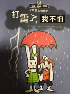 我不再怕雷