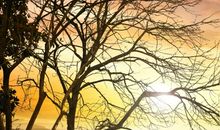 遇见最美的时光