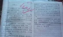 一个什么的梦作文三年级