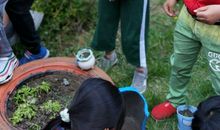 续写李晓明过生日