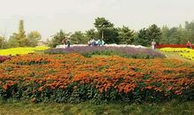 我与大自然的亲密接触