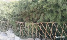 关于大明湖环境保护问题建议书