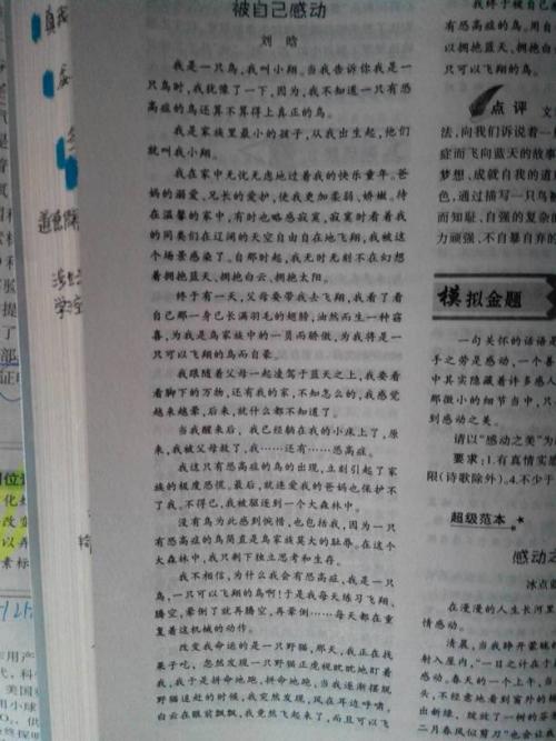 生活感动了我
