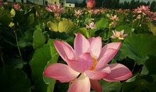 一个有趣的上午