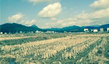 心田上最美的风景