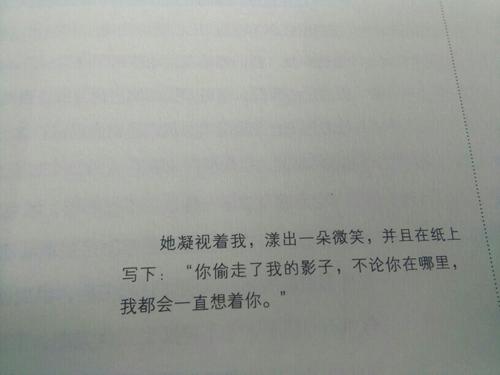 如果您可以偷走阴影，请在阅读“ The Shadow Stealer”之后