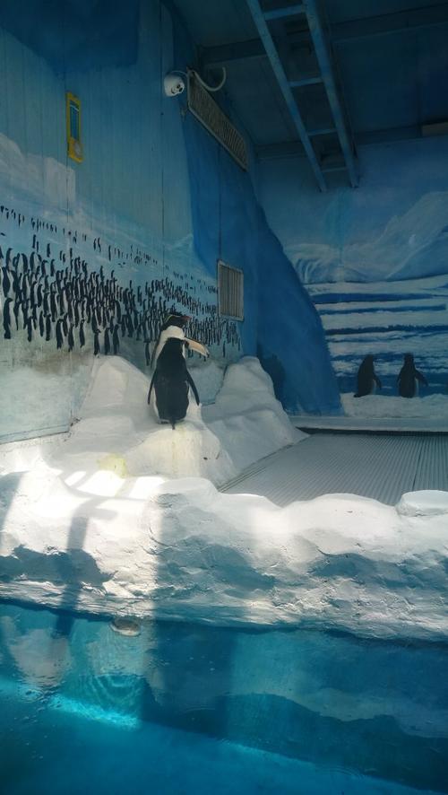 游览郑州水族馆