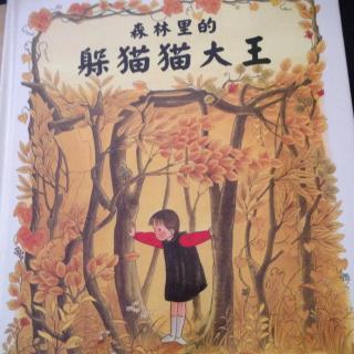 躲猫猫王作文三年级