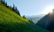 攀上那最高处的绿