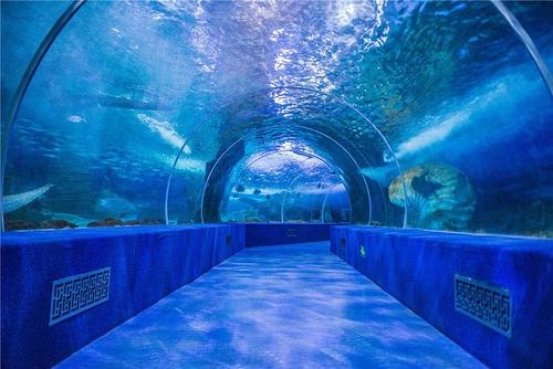 海洋世界一日游