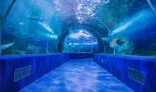 海洋世界一日游