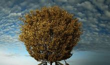 大自然给我们的警示