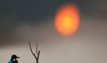 靡不有初，鲜克有终